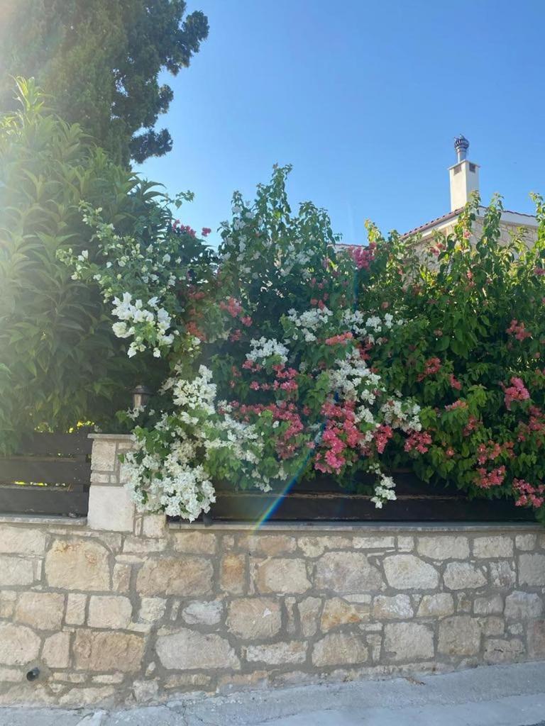 Almond Grove Villa Simou Exterior photo