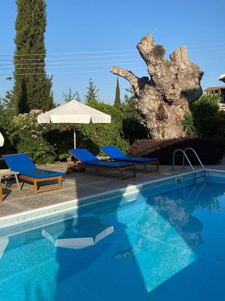 Almond Grove Villa Simou Exterior photo