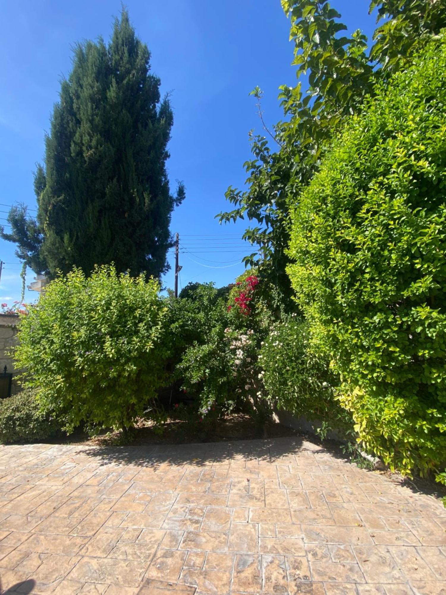Almond Grove Villa Simou Exterior photo